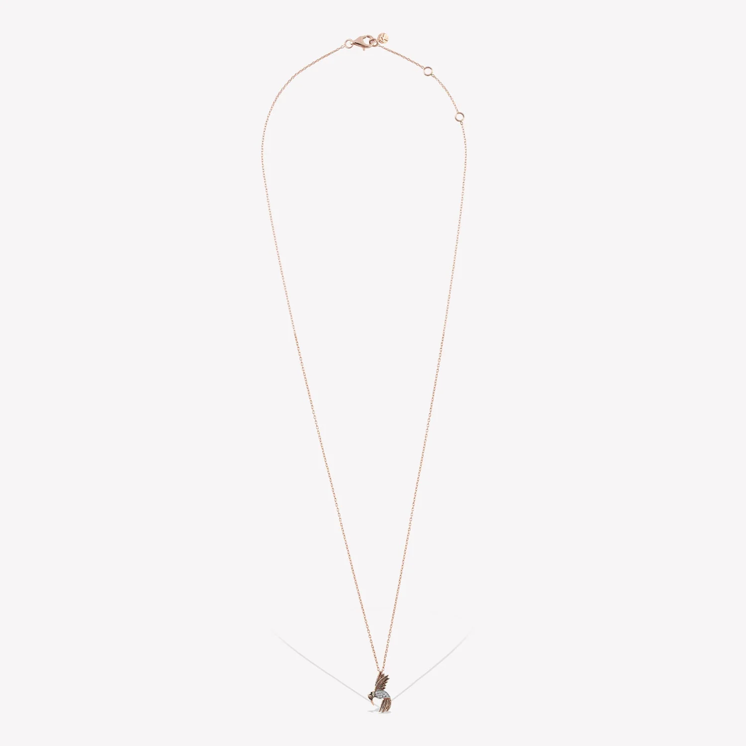 Robin Maxi Chain Necklace - Image 3